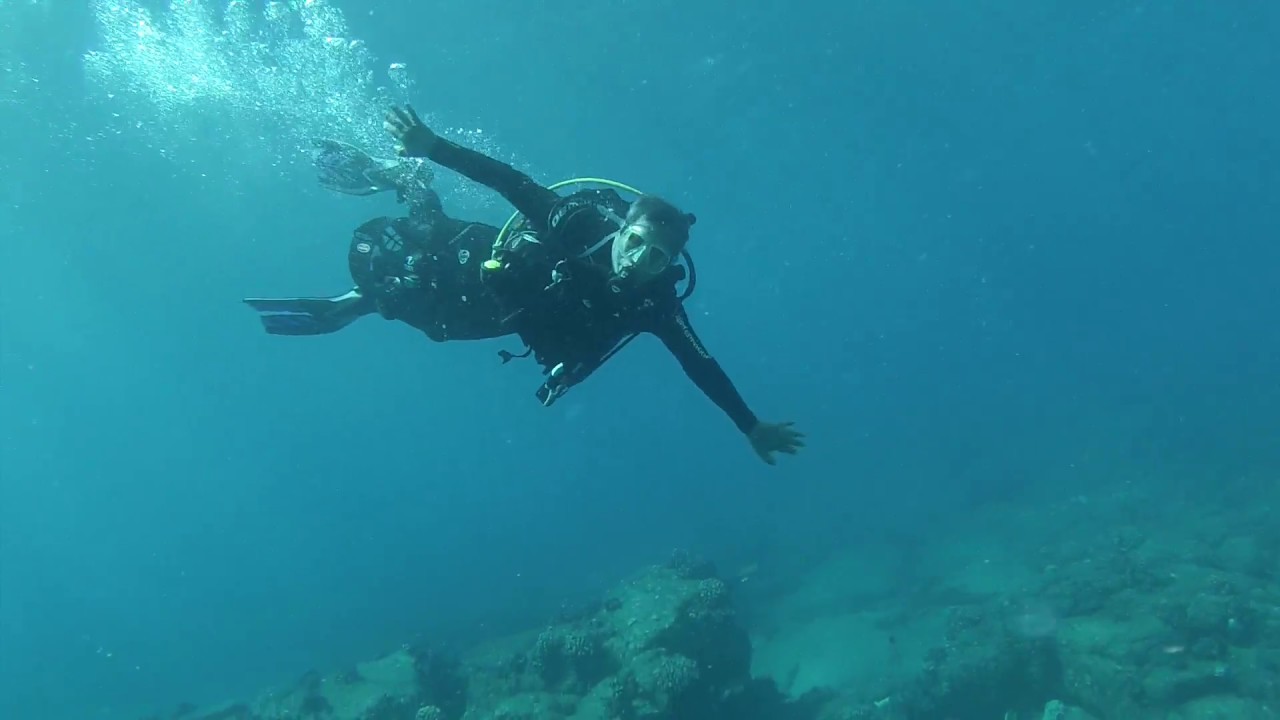A diver suspended in clear blue water